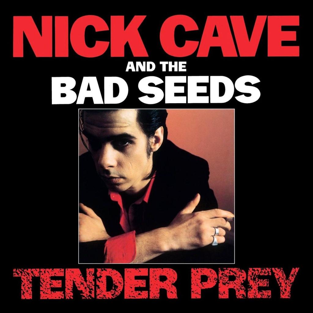 Tender pray | Nick Cave & the Bad Seeds. Interprète